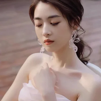 Naušnice Za Žene 2021 Akril Phoenix Neobične Naušnice Privjesak Duge Viseće Naušnice Cool Stvari Korejski Stil Moda Leptir Naušnice