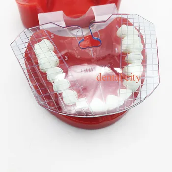 položaj zuba vodiča ploče 1pcs зубоврачебной laboratoriju зубоврачебное na poslu зубоврачебного proteze